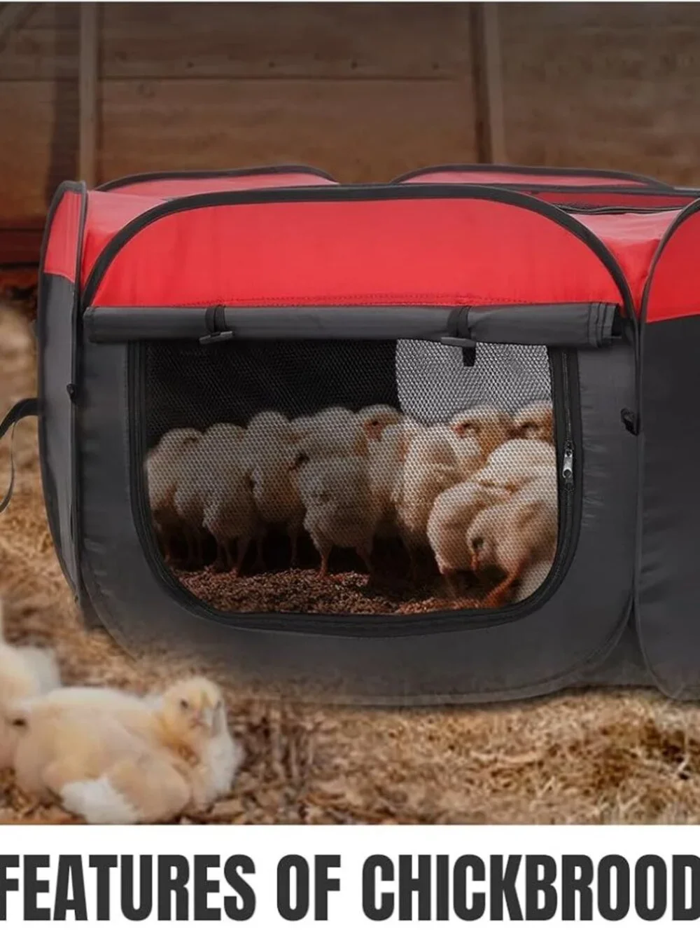 Chicken Brooder Box Kit - Picture 2 of 5